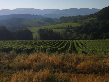 Tuscany Bike Tours