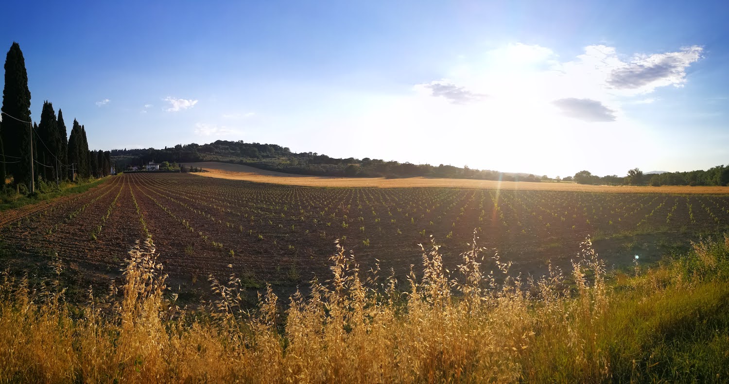 Tuscany Bike Tours