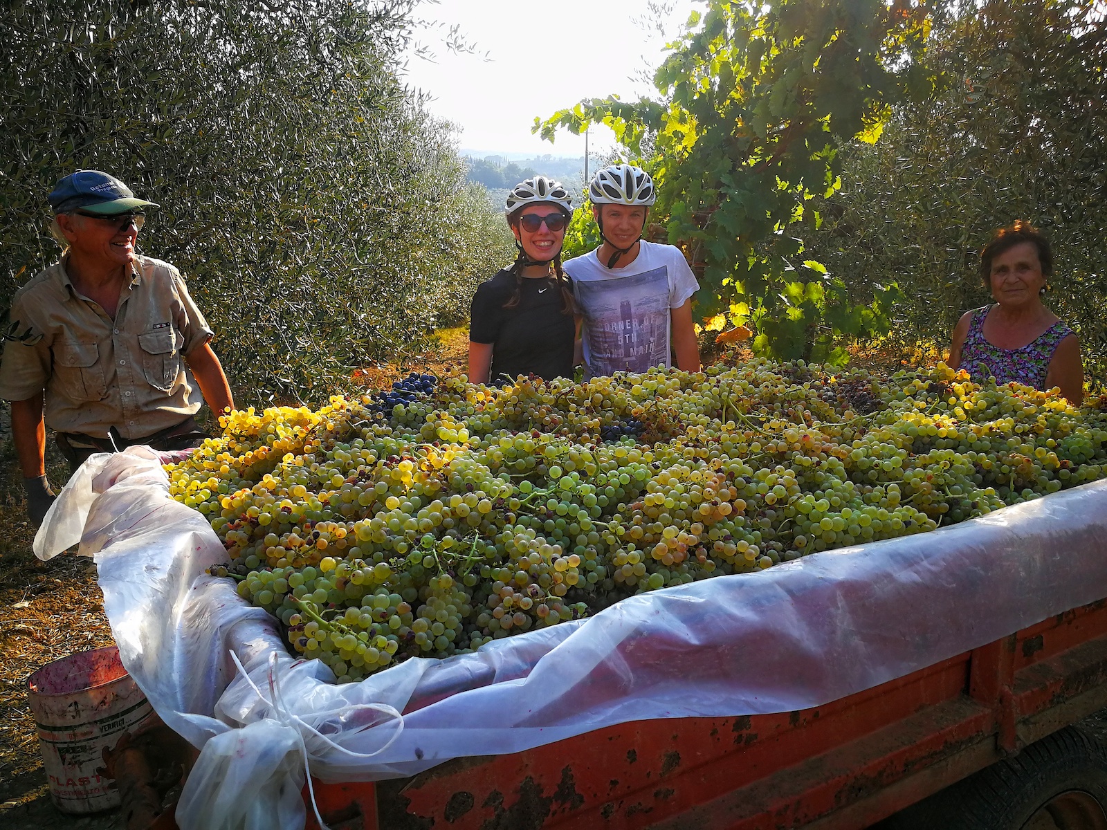 Chianti Classico E-Bike Tour