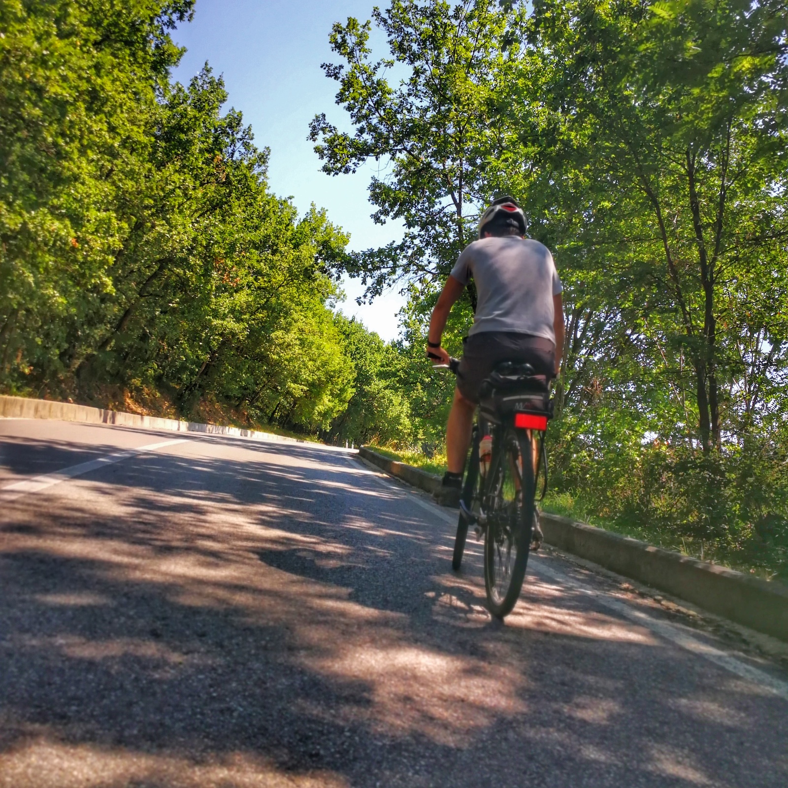 Chianti To San Gimignano Bike Tour