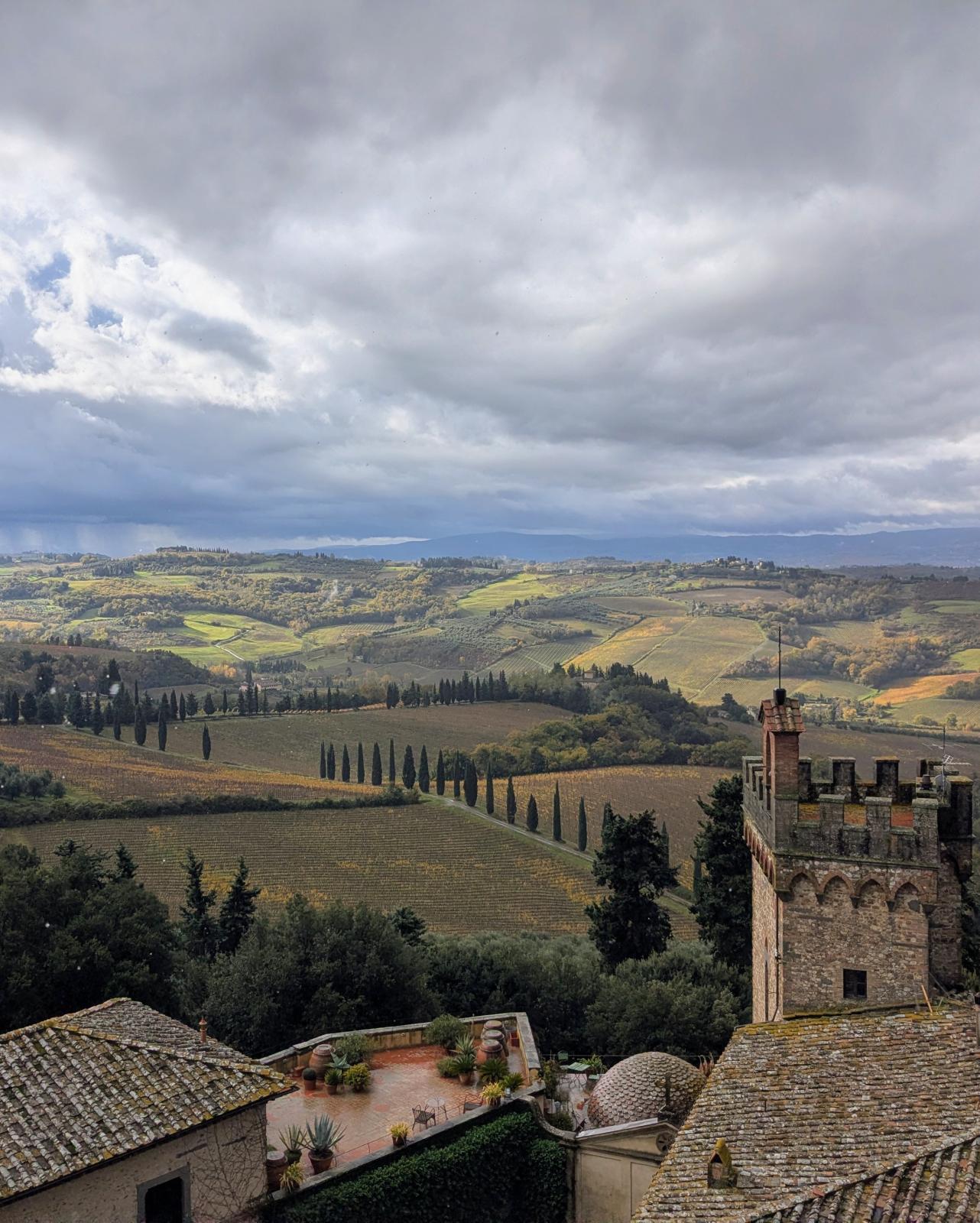 Private wine tour with cooking experience (max 8 people)