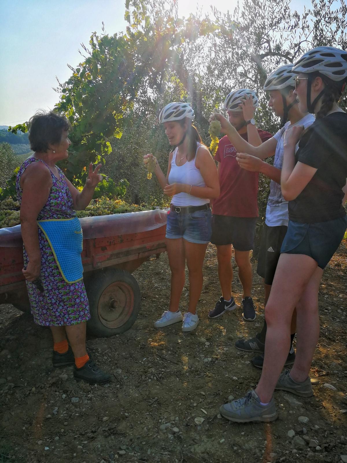 The best of Chianti Classico E-Bike Tour