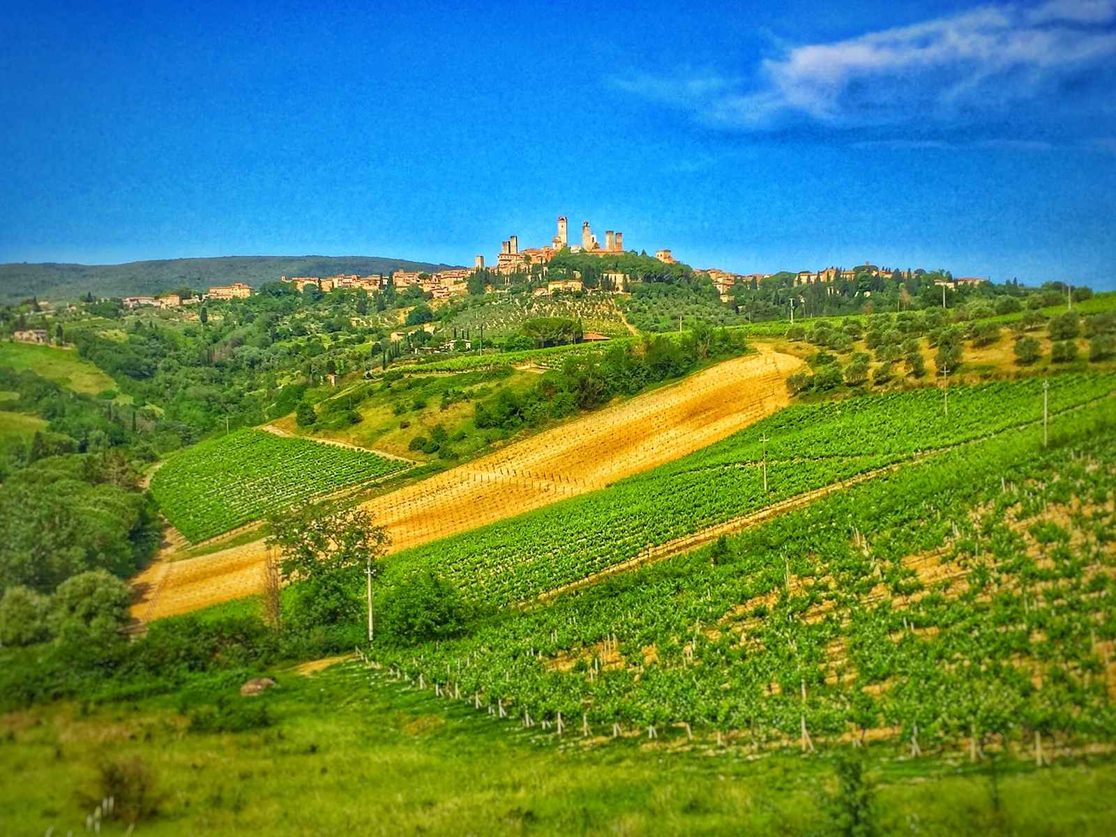 San Gimignano Bike Tour (Soft)