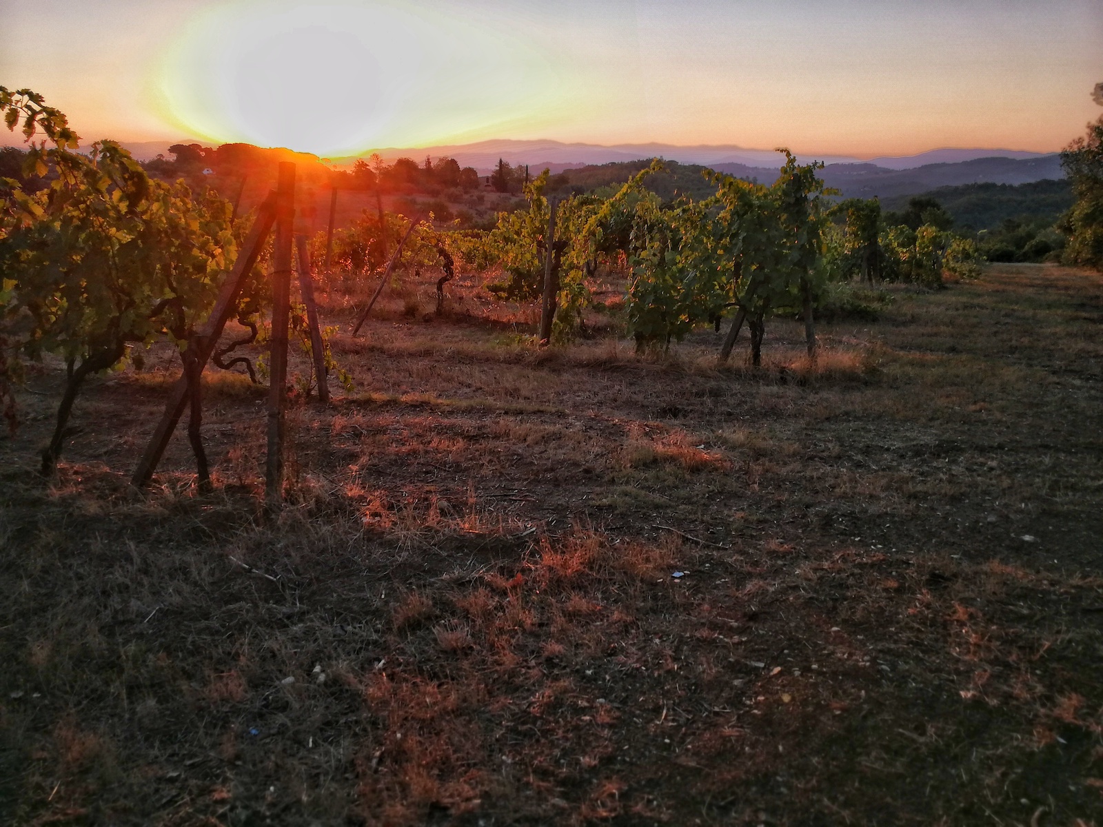 Private Tuscany Sunset Bike Tour