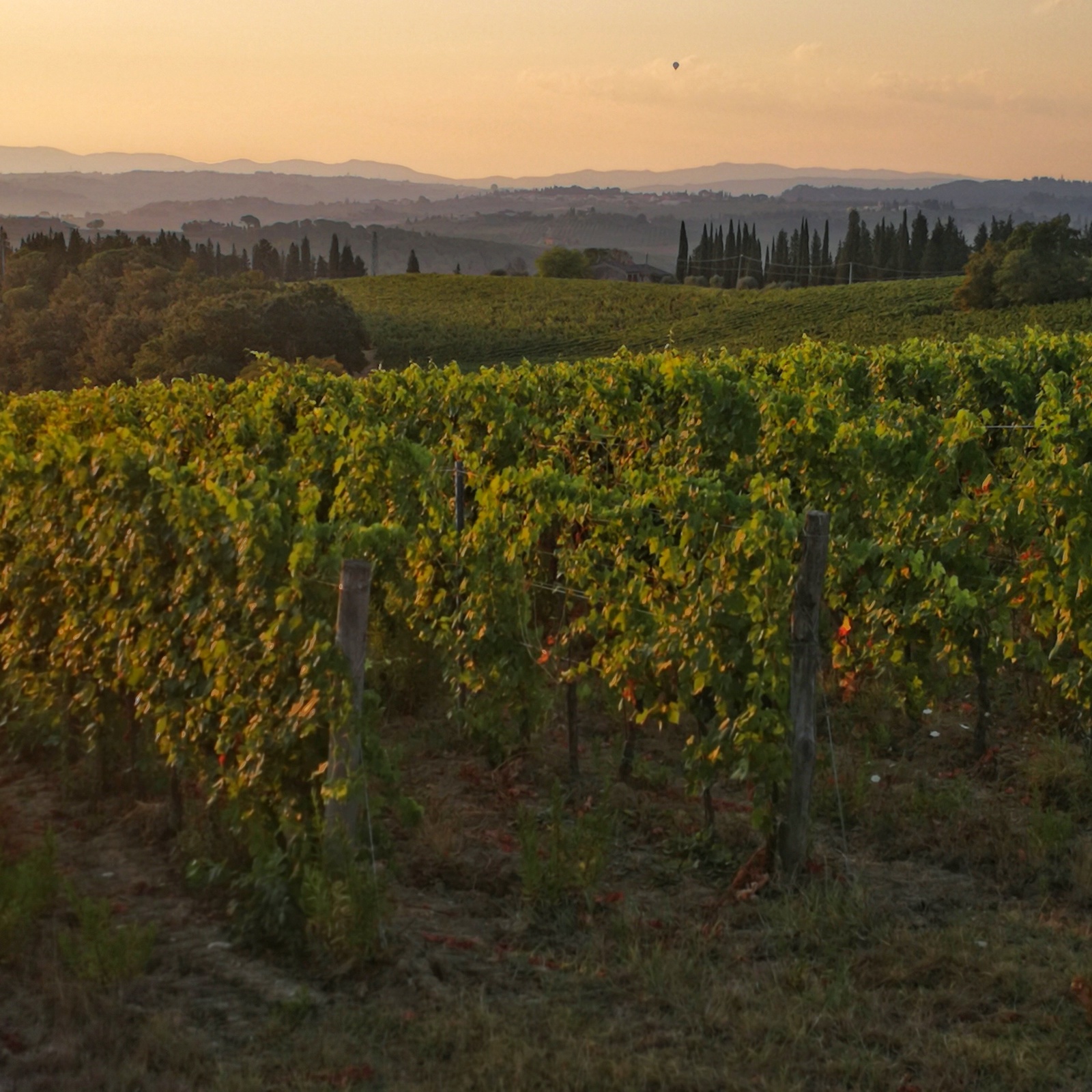 Private Tuscany Sunset Bike Tour