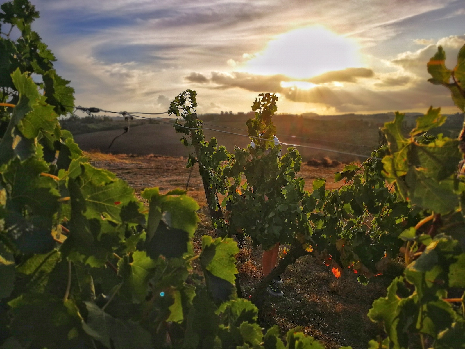 Private Tuscany Sunset Bike Tour