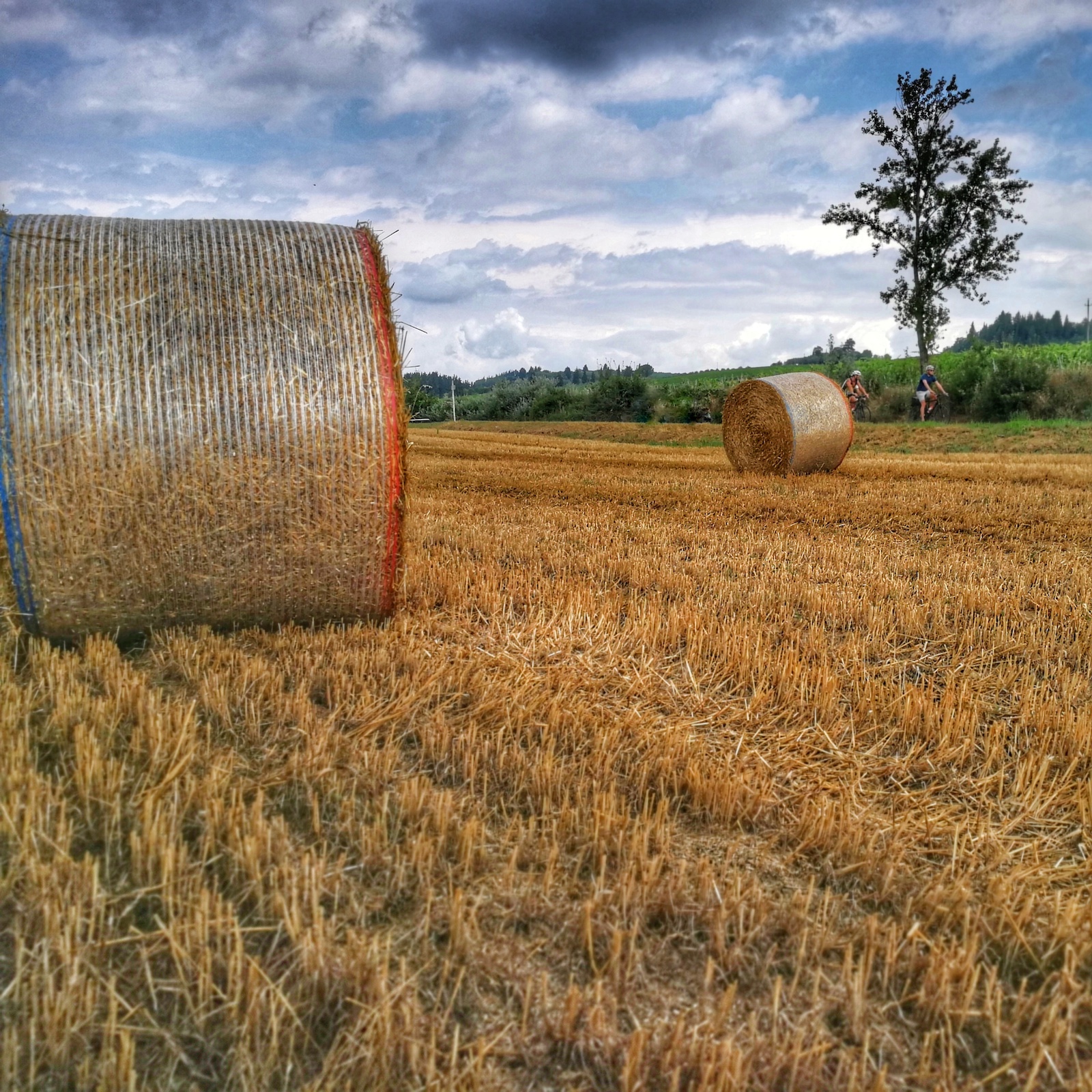 Discover The Via Francigena And San Gimignano On An E-Bike