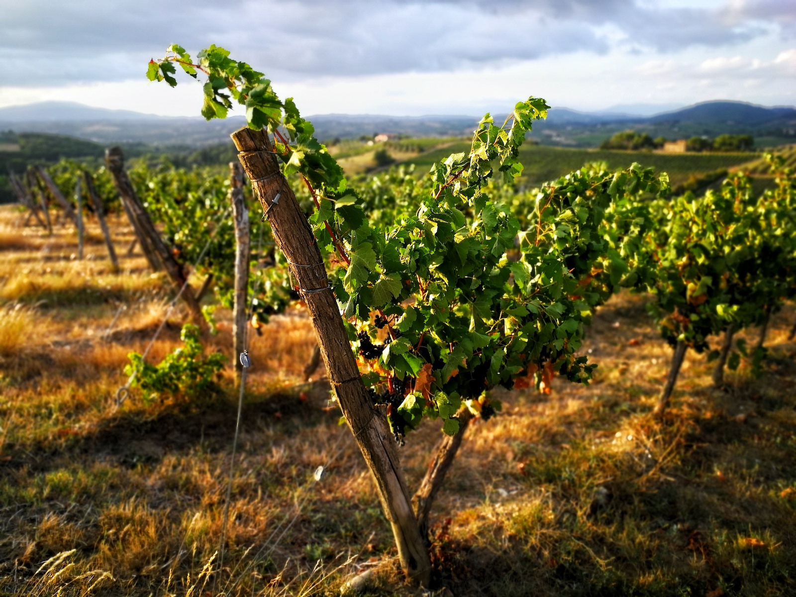Discover The Via Francigena And San Gimignano On An E-Bike